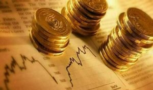 The how, why, and what of government debt securities
